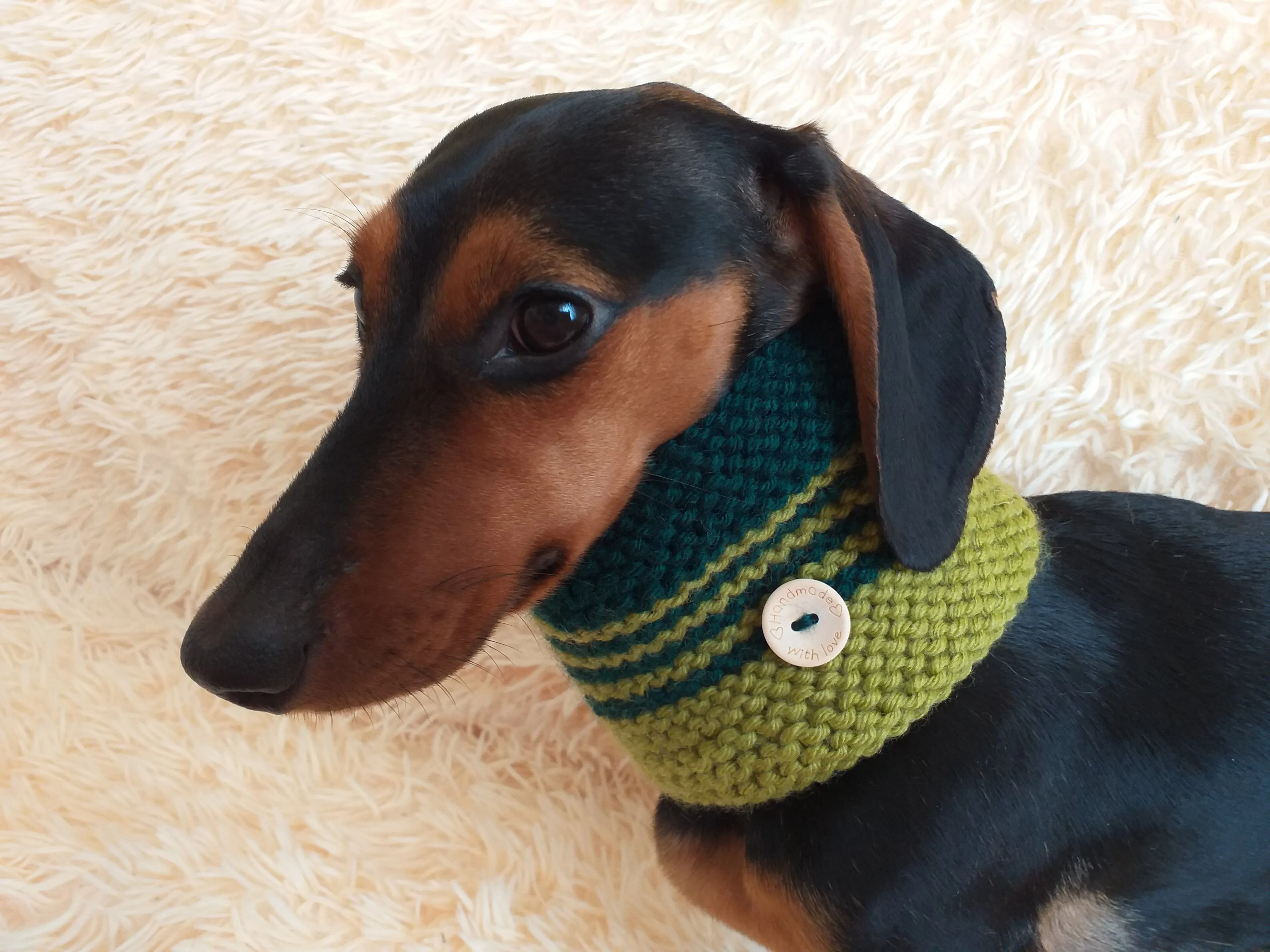 Wool snood for dogs handmade