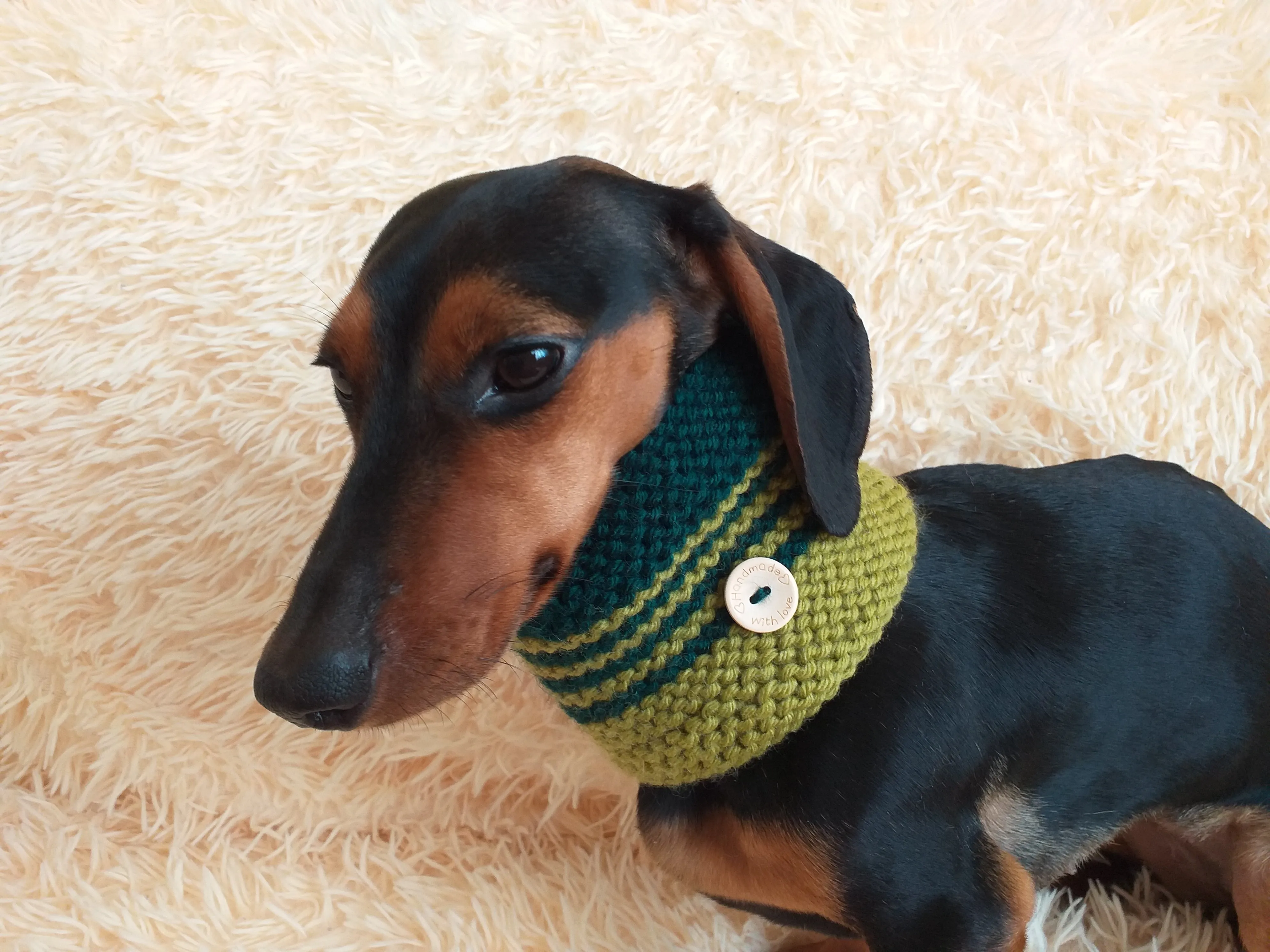 Wool snood for dogs handmade